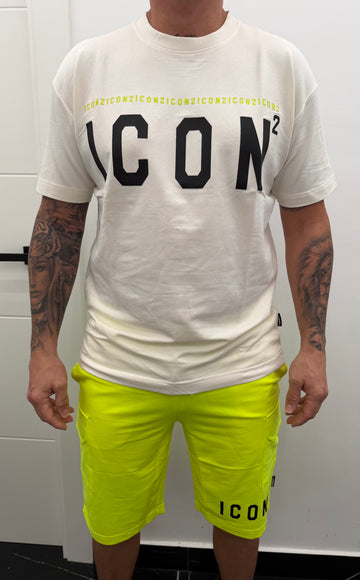 Conjunto fluor ICON2