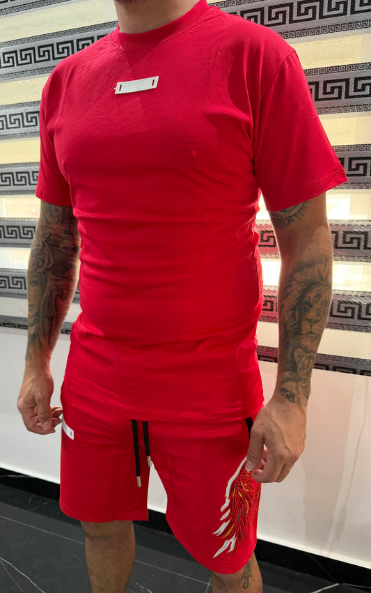 Conjunto alas bordado