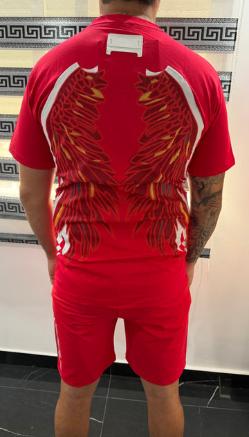Conjunto alas bordado