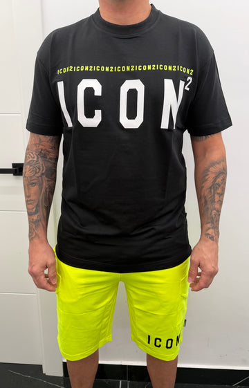 Conjunto fluor ICON2